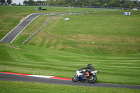 Lower Group White Bikes